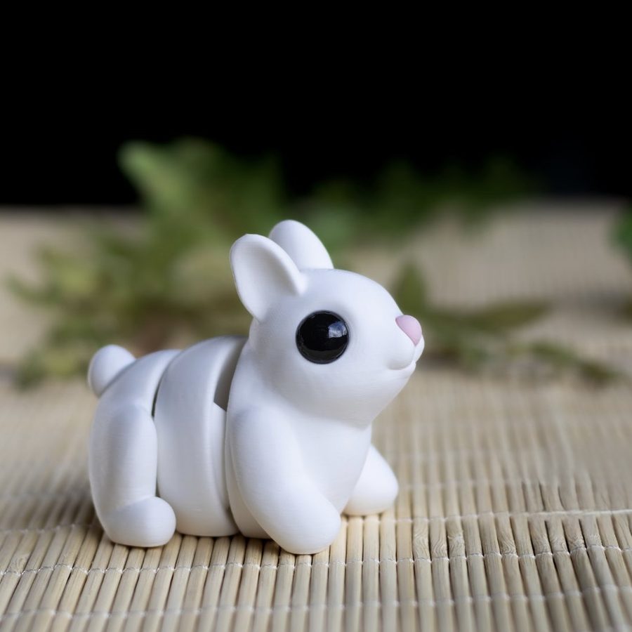 Hoppy, The Bouncy Bunny