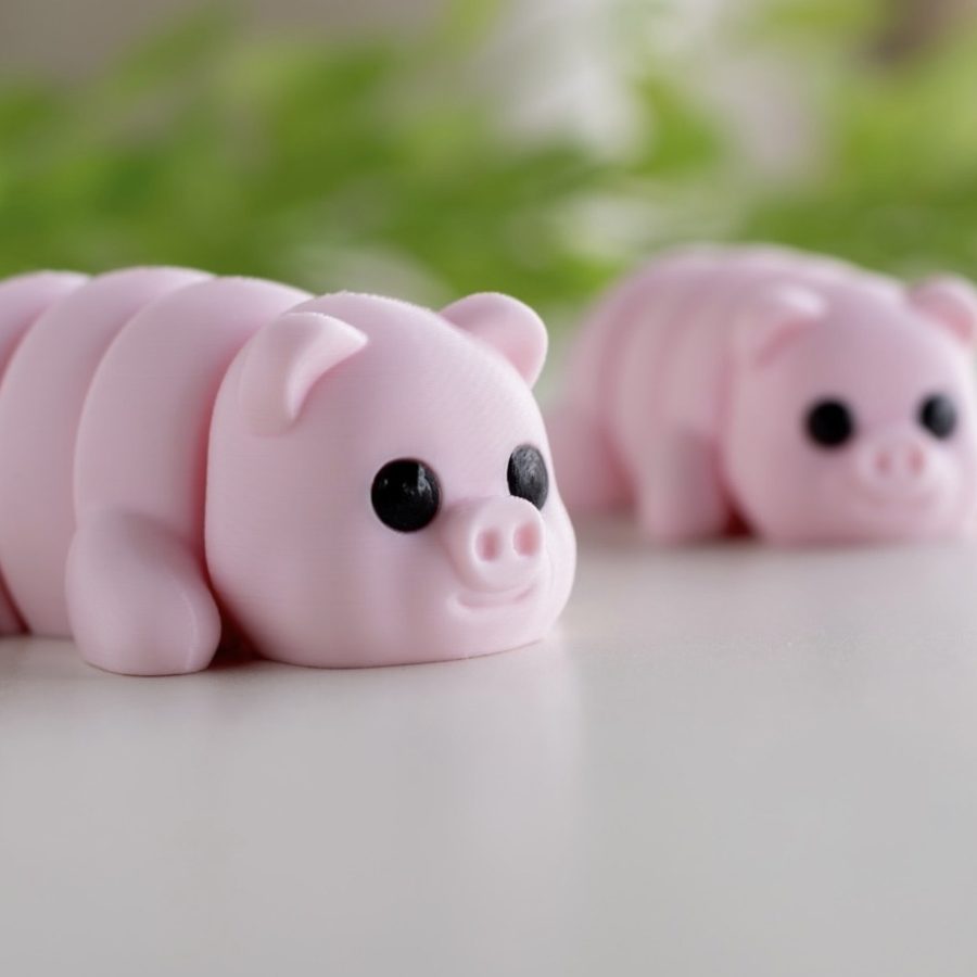 Pinky, The Chubby Piglet