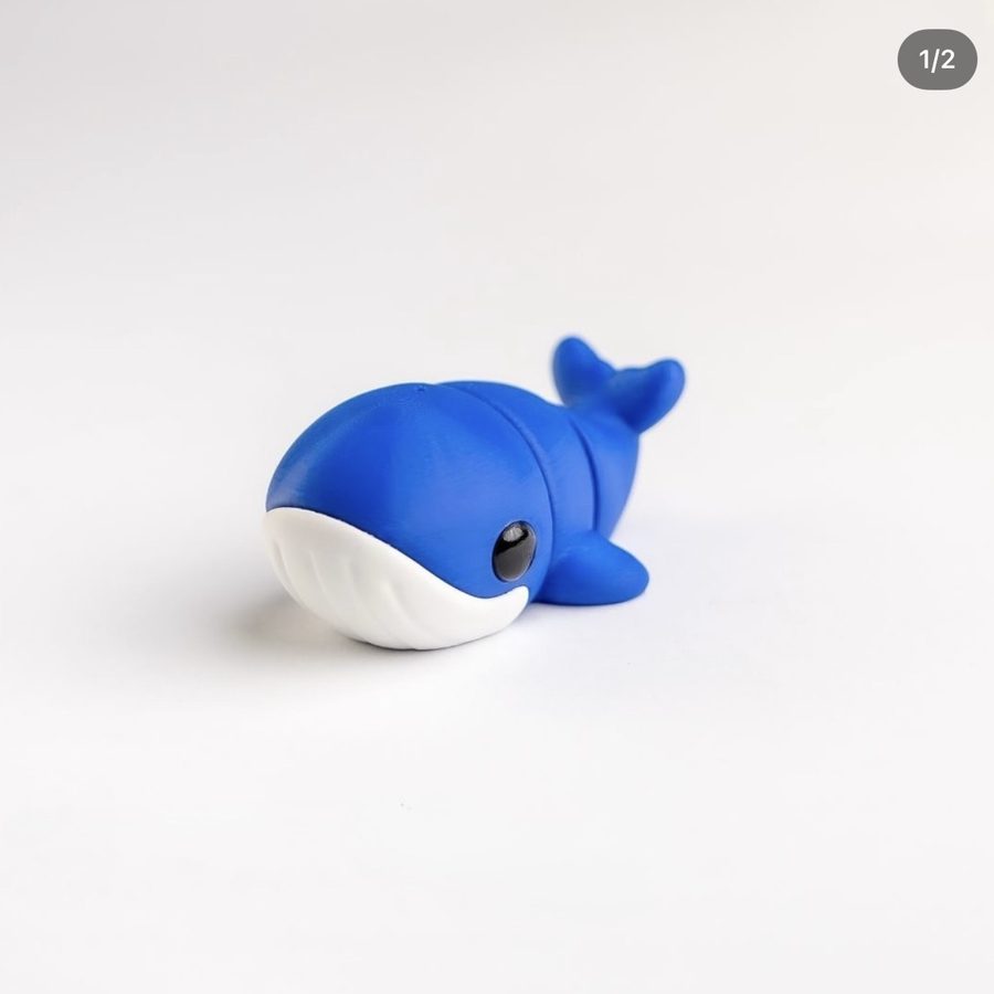Splash, The Happy Whale