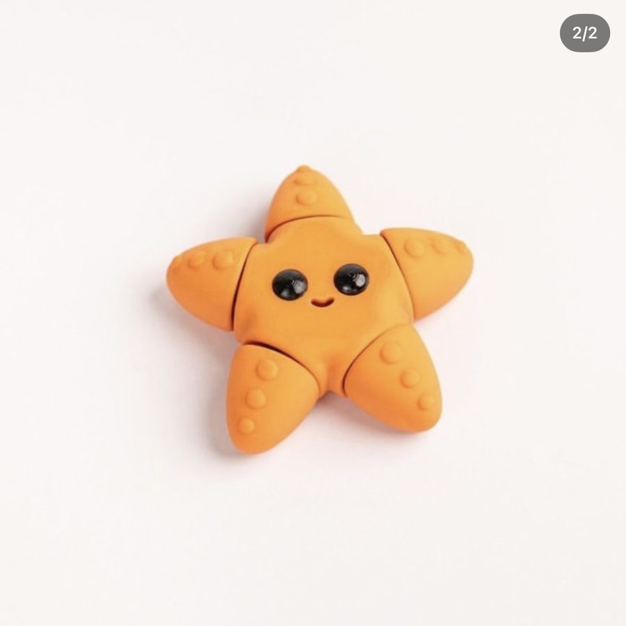Wavy, The Tiny Sea Star